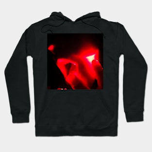 RED 2 Hoodie